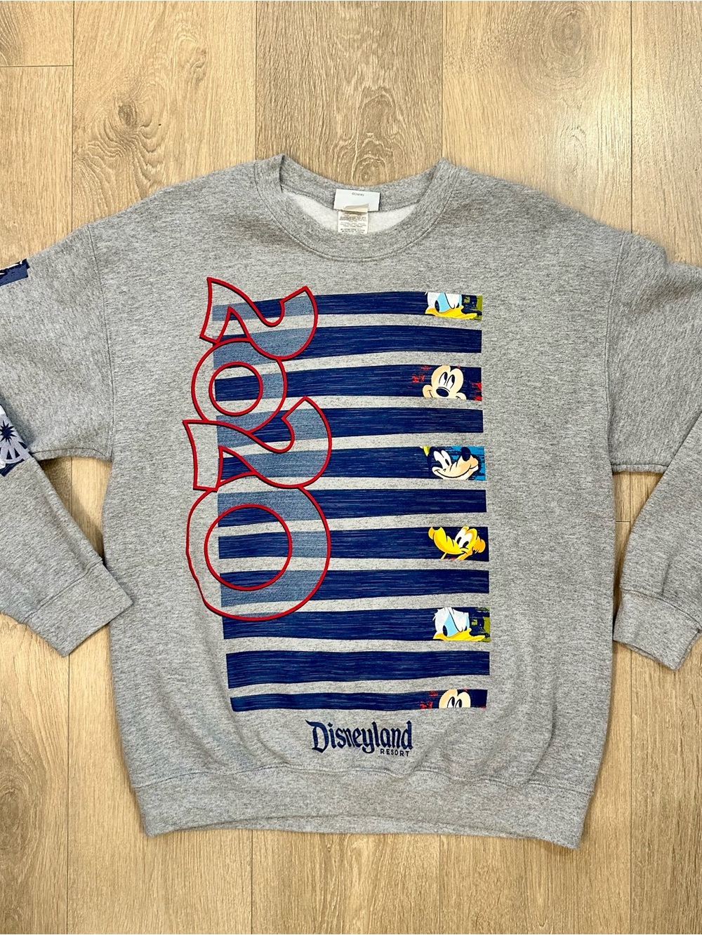 2020 Disney Gray Sweatshirt with Navy and Red Graphic Mens M
